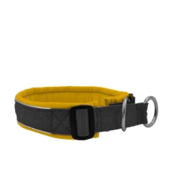 Hundehalsband, Zug-Stopp, gepolstert, Softshell, konfigurierbar