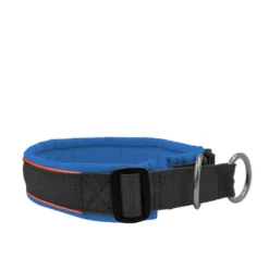 Hundehalsband, Zug-Stopp, gepolstert, Softshell, konfigurierbar