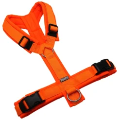 BUMER-Hundegeschirr-gepolstert-ohne-geteilten-Bruststeg-Groesse-M-Gurtband-PREMIUM-Electric-Pumpkin-Softshell-Neonorange-Ringe-silberfarbig-Edelstahl-Schnallen-schwarz-DURAFLEX®